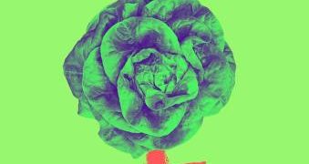 19 Oct – Primera Jornada Ecofeminista de Toledo